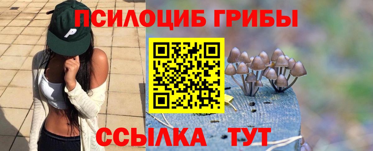Галлюциногенные грибы Psilocybine cubensis Карталы